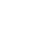 Adult Form Icon
